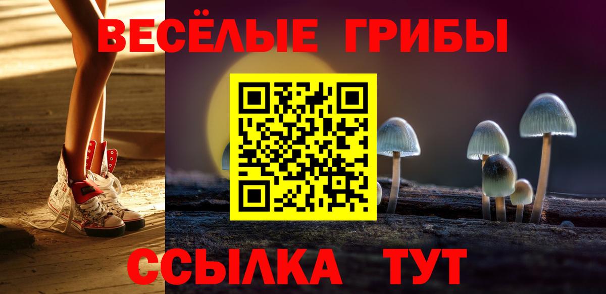 Новоуральск  Галлюциногенные грибы MAGIC MUSHROOMS  Вход с VPN  Псилоцибиновые грибы GOLDEN TEACHER 